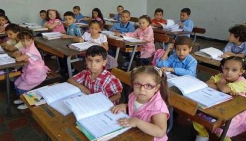 الأمم المتحدة تعلن 24 جانفي يوما دوليا للتعليم