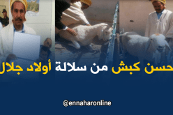 اختيار أحسن كبش لسلالة أولاد جلال في بسكرة