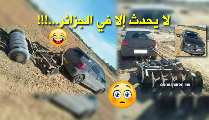 صور .. “عيش تشوف”