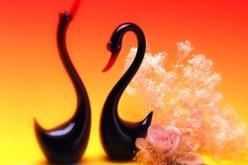 النهار تساعدك على تحقيق حلمك و الدخول للقفص الذهبي