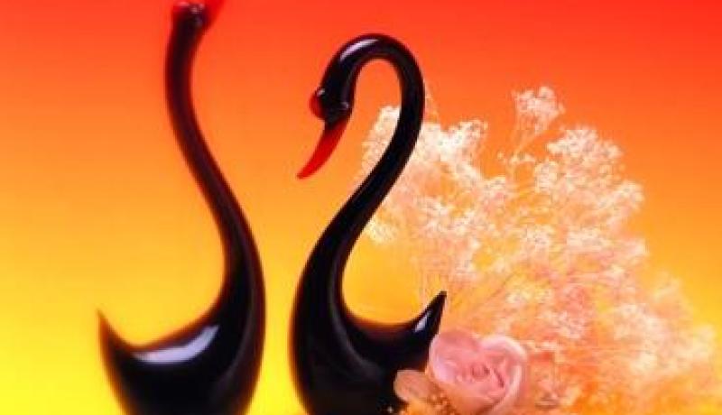 النهار تساعدك على تحقيق حلمك و الدخول للقفص الذهبي