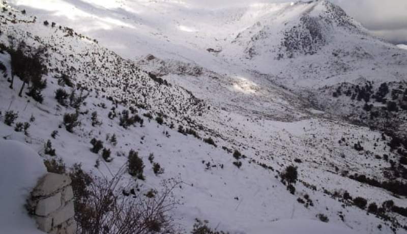 تساقط الثلوج الأولى بمرتفعات جرجرة بولاية البويرة
