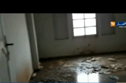 بالفيديو ..الشيخ النوي يكشف تهاون المسؤولين بالمشرية