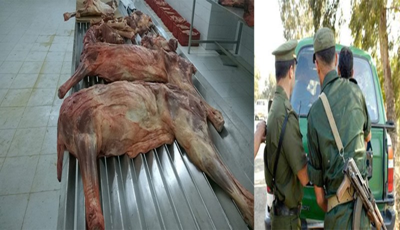 درك سكيكدة يحبط محاولة لتسويق لحوم الحمير