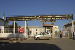 إنشاء 10 ديار على الأقل للإقامة الصحية للمرضى ومرافقيهم على مستوى كل مستشفى