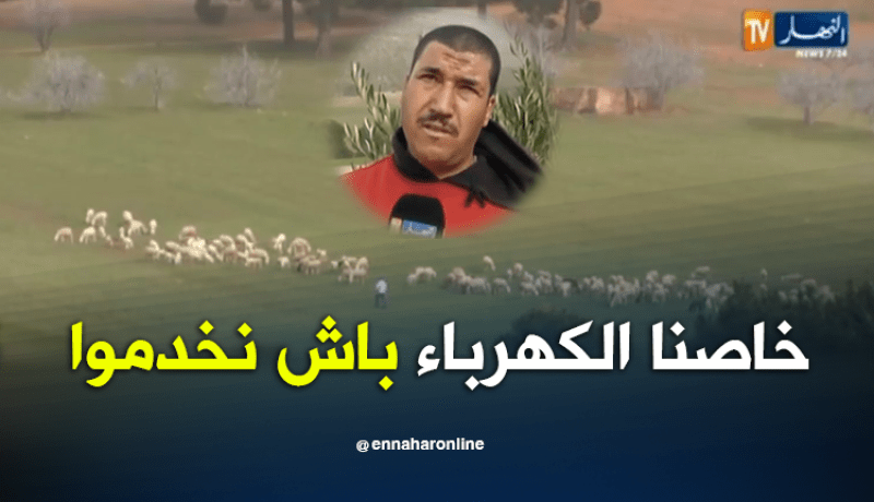 غياب الكهرباء الريفية يعيق النشاط الفلاحين بسعيدة
