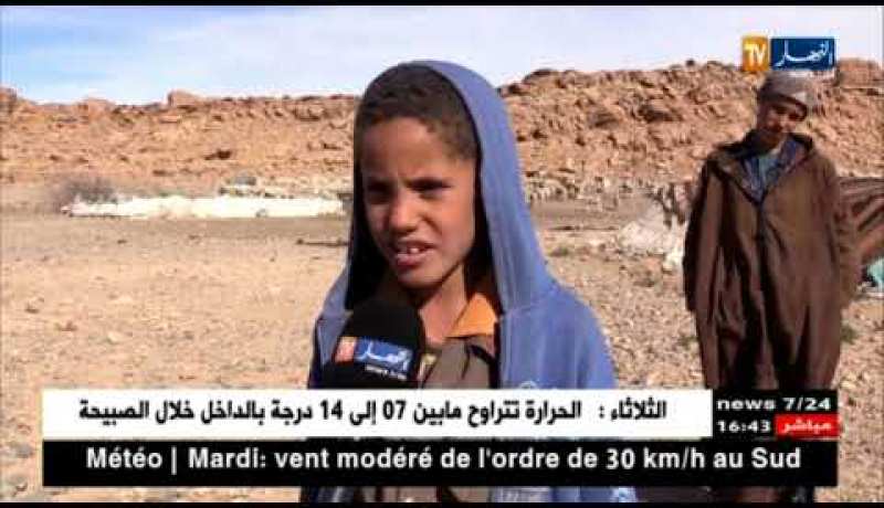 الجلفة: عبد السلام والعمري.. رعاة صغار حلمهم دخول المدرسة