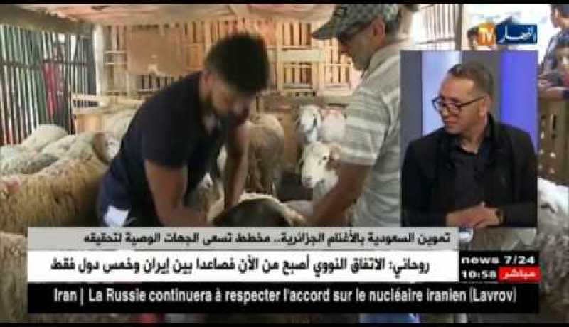تموين السعودية بالأغنام الجزائرية..مخطط تسعى الجهات الوصية لتحقيقه