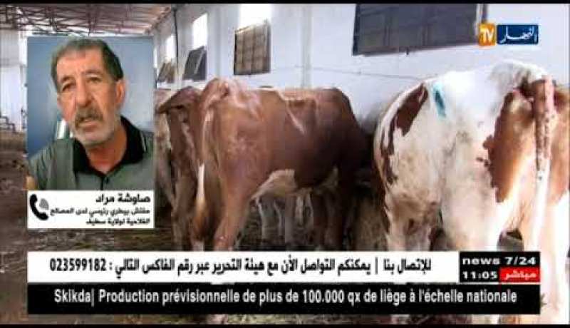 صاوشة مراد : ” لم نسجّل وباء الحمى القلاعية منذ سنة 2014 !! “