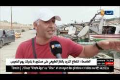 صيد: الساورين أو “الجابوني”.. خسائر كبيرة يسببها للبحارين