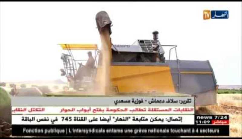 فلاحة: محوّلو القمح يناشدون الفلاحين برفع الإنتاج وتحسين النوعية !