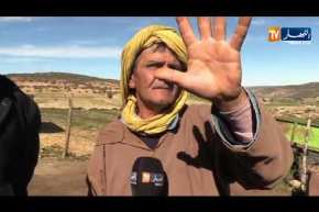 تيارت/ عصابة تسطو على مزرعة موال وتسلبه أكثر من 200 رأس ماشية لدوار العلاونة