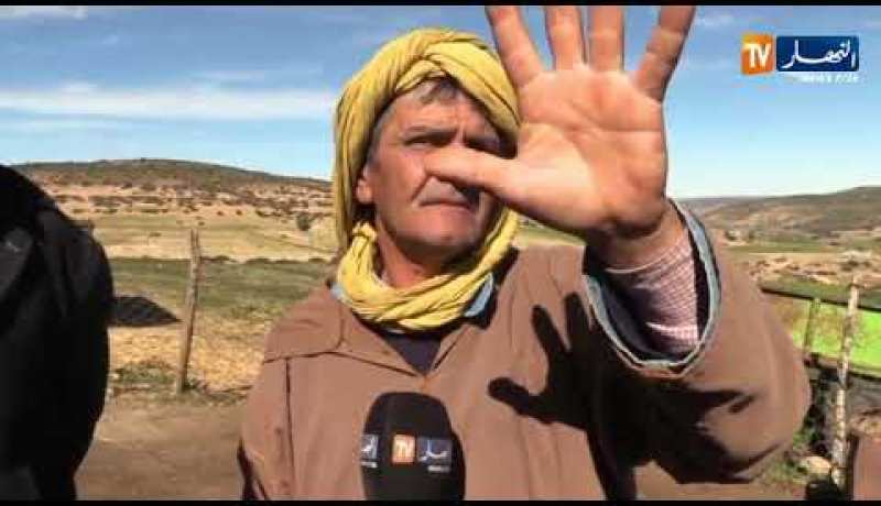 تيارت/ عصابة تسطو على مزرعة موال وتسلبه أكثر من 200 رأس ماشية لدوار العلاونة