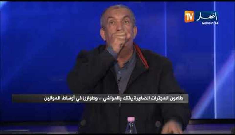 نقاش على المباشر: طاعون المجترات الصغيرة يفتك بالمواشي.. وطوارئ في أوساط الموالين