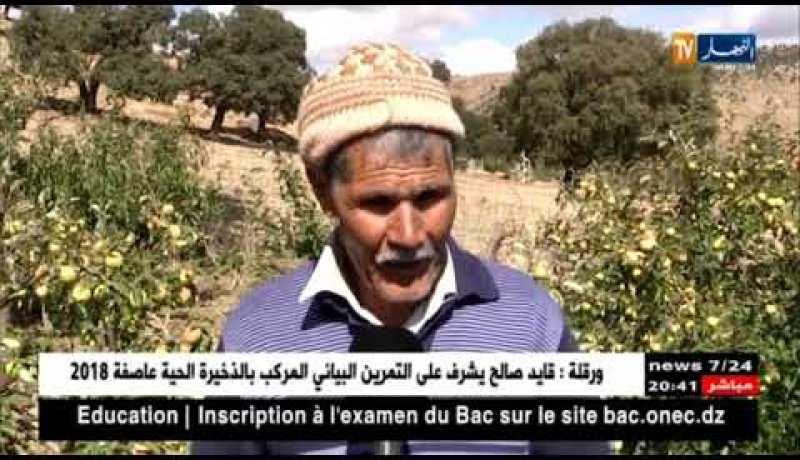 باتنة: خسائر فادحة للفلاحين ببلية أولاد عوف بسبب البرد