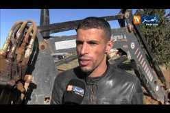 تيارت/ تشجيع زراعة البقوليات للقضاء على الأراضي البور وزيادة الإنتاج