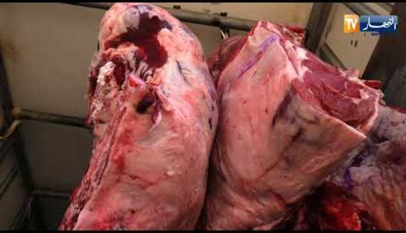 أنصار جمعية الشلف يحتجون أمام ملعب بومزراق ويطالبون بالتغيير وإنقاذ الفريق