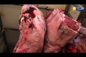 مجلس وزراء بنكهة إقتصادية.. الرئيس يبدأ بالإصلاحات ويحدد الأولويات