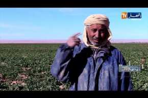 روبورتاج: فلاحة.. الزراعة كما لم تراها من قبل.. خبايا وتجارب لم تظهر للعيان !!