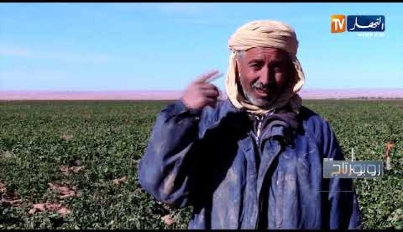 روبورتاج: فلاحة.. الزراعة كما لم تراها من قبل.. خبايا وتجارب لم تظهر للعيان !!