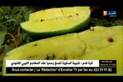 بسكرة: الدلاع الأصفر.. الفاكهة الجديدة بالأسواق