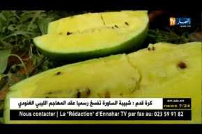 بسكرة: الدلاع الأصفر.. الفاكهة الجديدة بالأسواق