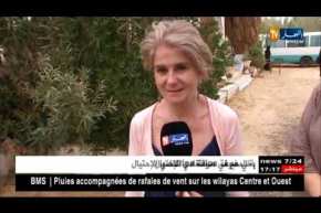 الوادي: 30 عريسا من ذوي الإحتياجات الخاصة يدخلون القفص الذهبي