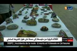 عز الدين ميهوبي: يجب الحفاظ على التراث وعرضه كمنتوج ثقافي إقتصادي