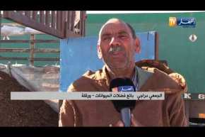 ورقلة: باعة فضلات الحيوانات يطالبون بسوق منظم لبيعها