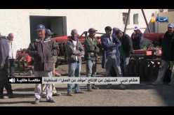 قسنطينة: تجاوزات و إضرابات في المزرعة النموذجية بونوارة
