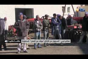 قسنطينة: تجاوزات و إضرابات في المزرعة النموذجية بونوارة