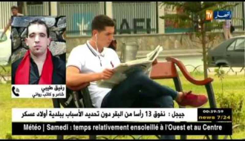 ضعف المقروئية في الجزائر.. من يتحمل مسؤوليتها !!