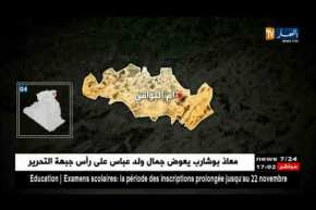 أم البواقي: توقيف أربعة أشخاص وحجز 7 أشجار و393 شجيرة من القنب الهندي معدة للغرس