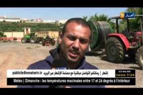 قالمة: عمال مزرعة بومعزة السعيد يرفضون الشراكة ويطالبون الوزارة بالتدخل