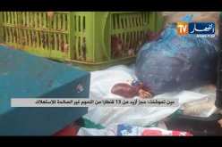 عين تموشنت: حجز أزيد من 13 قنطارا من اللحوم غير الصالحة للإستهلاك
