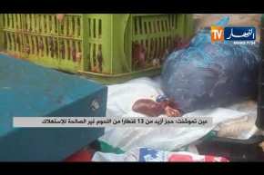 عين تموشنت: حجز أزيد من 13 قنطارا من اللحوم غير الصالحة للإستهلاك