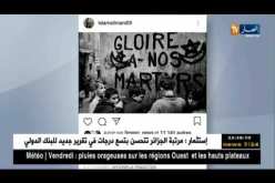 لاعبو المنتخب الوطني يهنئون الجزائريين بذكرى إندلاع الثورة