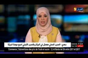 وزير الصناعة.. فتح رأسمال أي مؤسسة عمومية من صلاحيات رئيس الجمهورية