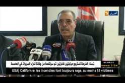 محمد شارف: الإضراب الذي باشره تقنيوا ومهندسوا الصيانة في الجوية الجزائرية غير شرعي وفوضوي