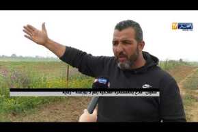 فلاحة: الأراضي الفلاحية خط أحمر.. شعار ينفيه الواقع