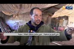 سعيدة: محي الدين يتخلى عن نشاط تربية الدواجن بسبب نقص الدعم