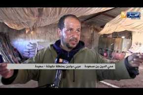 سعيدة: محي الدين يتخلى عن نشاط تربية الدواجن بسبب نقص الدعم