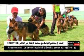 أسماء اللاعبين والنجوم الغربيين.. هذا ما يسمى به كلب الراعي الألماني في الجزائر