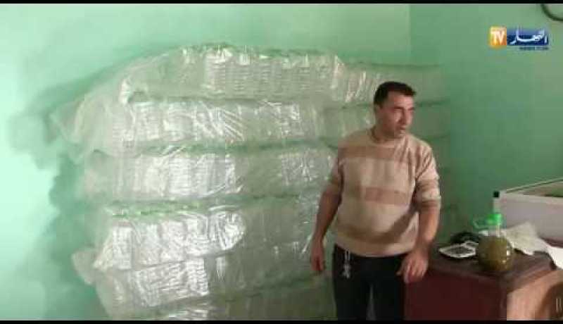 قالمة: المعاصر التقليدية.. قبلة للفلاحين ومخاوف من تراجع المنتوج