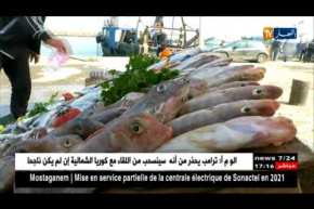 تجارة: السردين بـ 900 دينار للكيلو غرام والمواطن بشعار “ملحقناش”