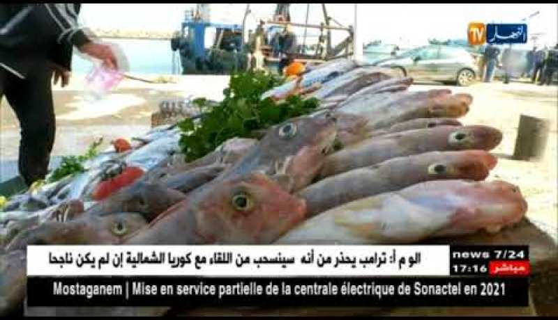 تجارة: السردين بـ 900 دينار للكيلو غرام والمواطن بشعار “ملحقناش”