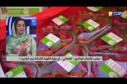 إهتمام إماراتي بالسوق الجزائرية…السياحة تستقطب مستثمرين خليجيين