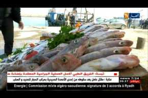 تجارة: السردين بـ 900 دينار للكيلوغرام والمواطن بشعار “ملحقناش”