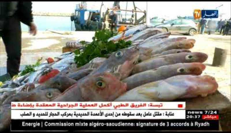 تجارة: السردين بـ 900 دينار للكيلوغرام والمواطن بشعار “ملحقناش”