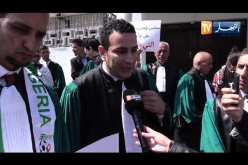 العاصمة: قضاة مجلس المحاسبة في وقفة تضامنية لمساندة الحراك الشعبي